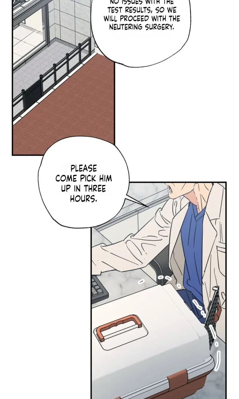 Chapter 25, page 58