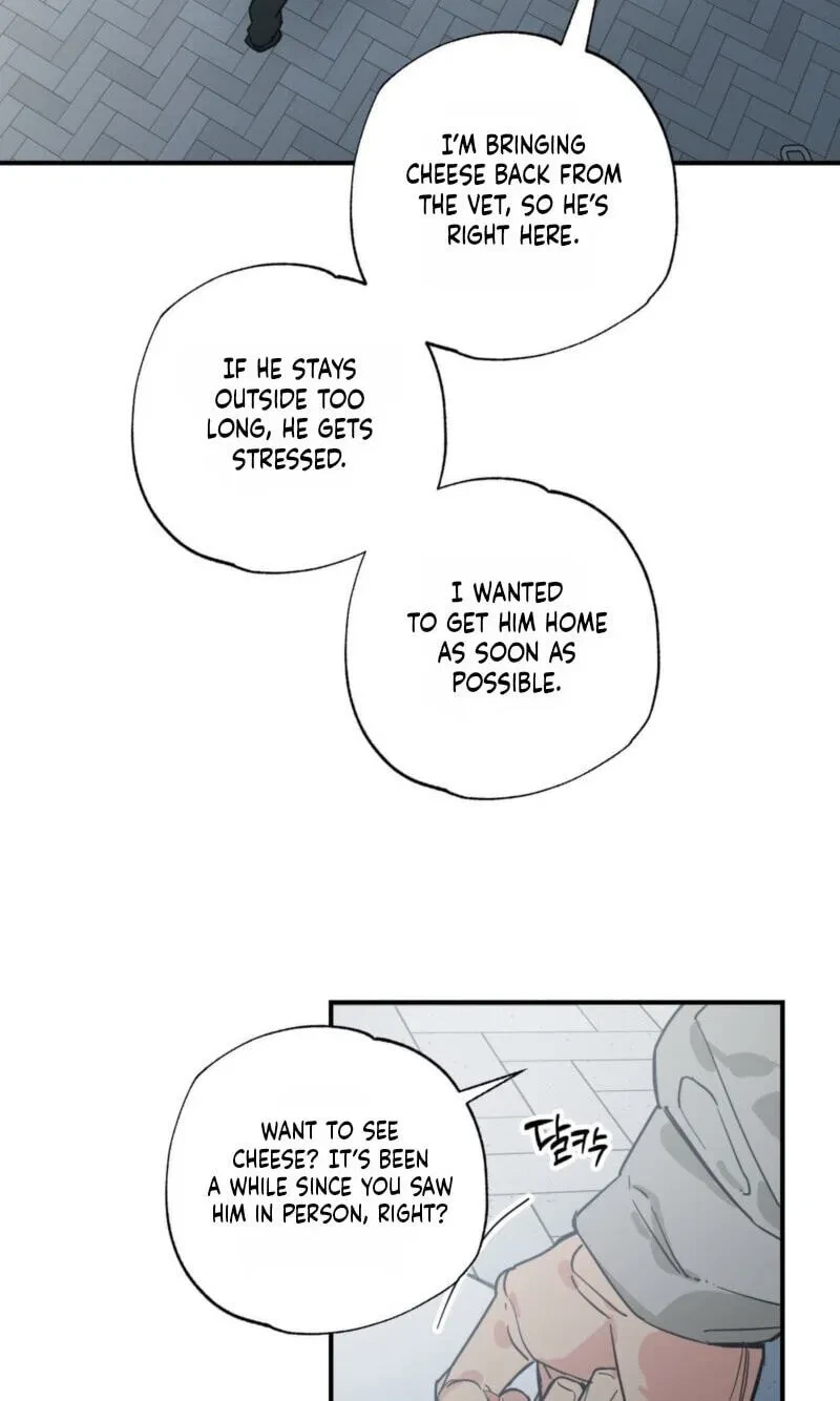 Chapter 25, page 8