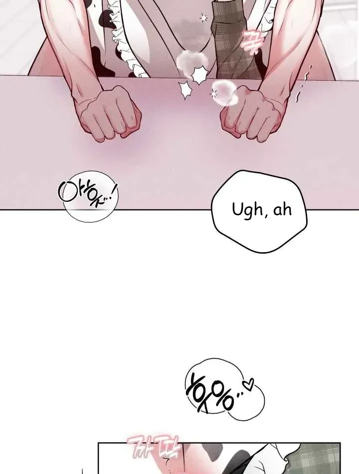 Chapter 2, page 13