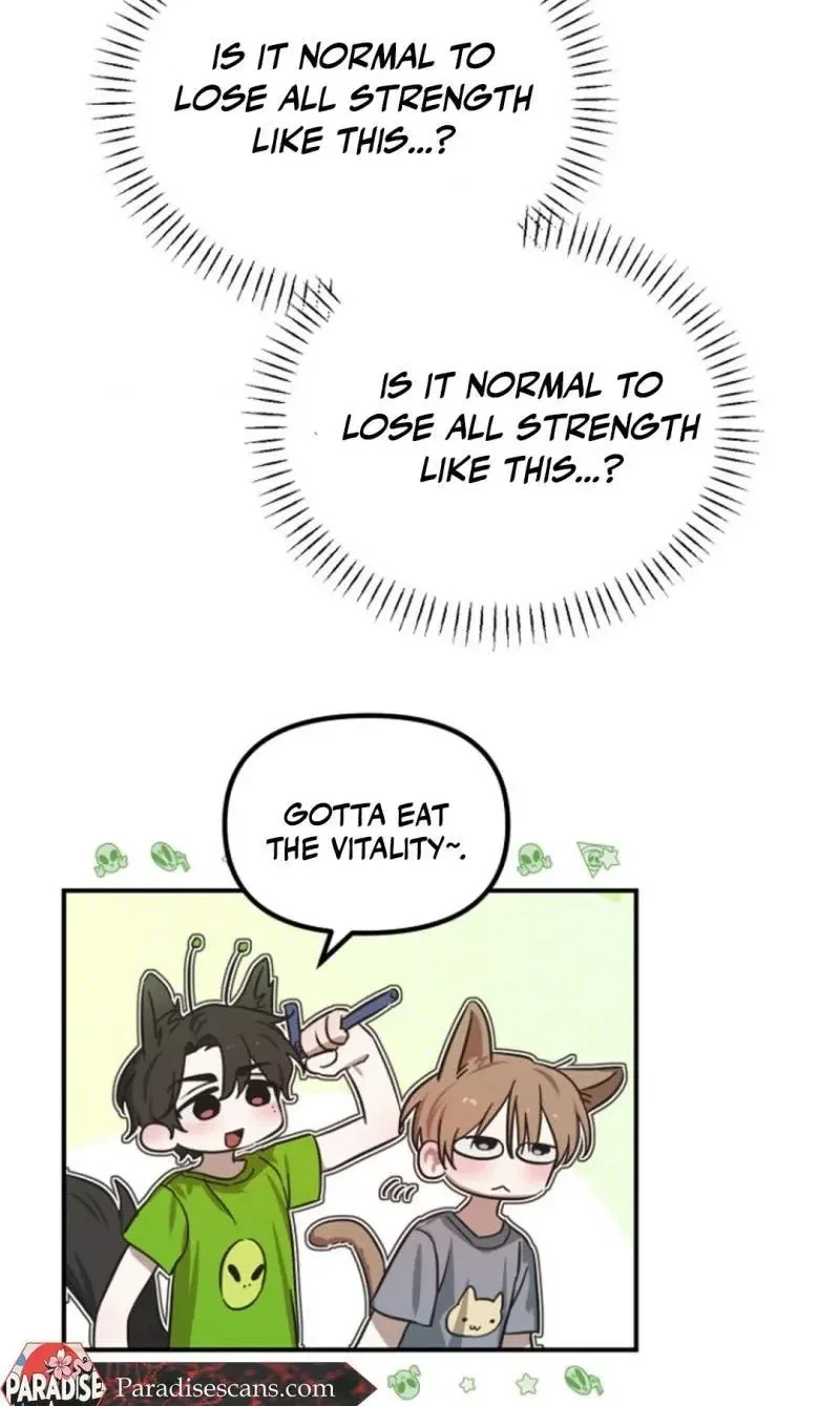 Chapter 4, page 8
