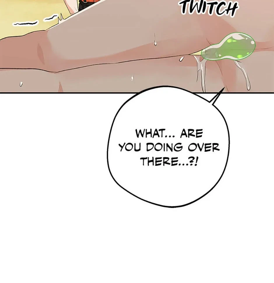 Chapter 17.1, page 48