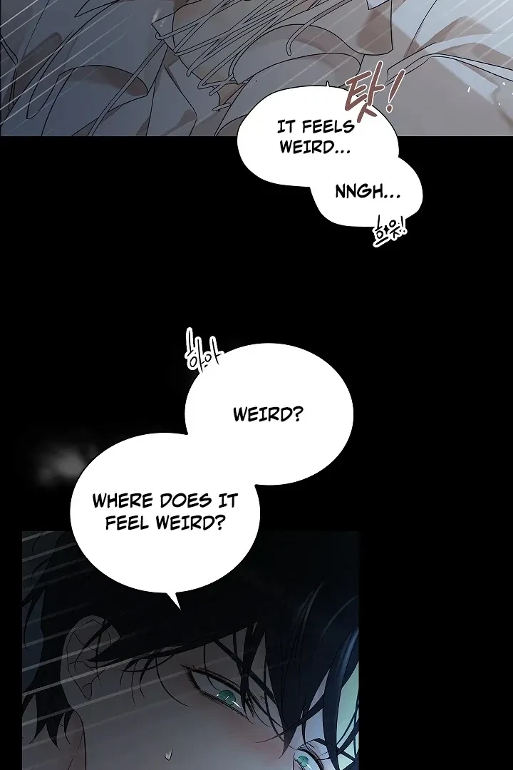 Chapter 2, page 102