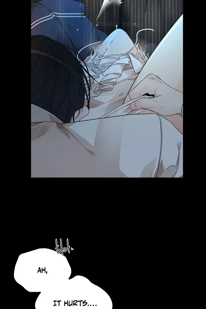 Chapter 2, page 117