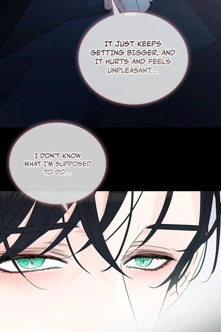Chapter 2, page 51