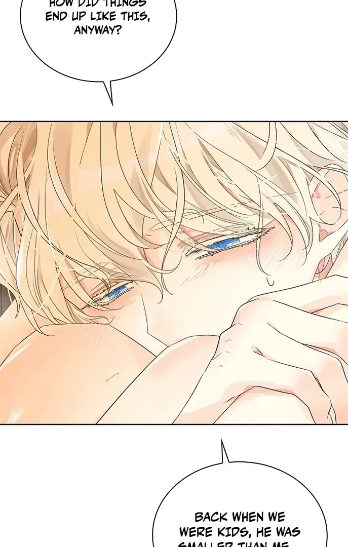 Chapter 2, page 6