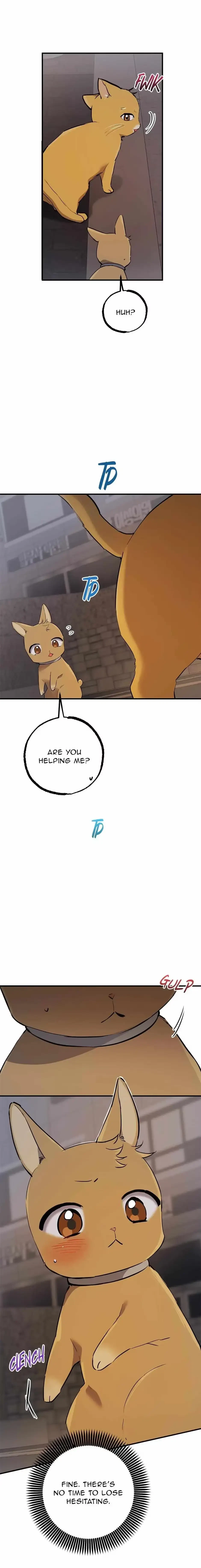 Chapter 47, page 28