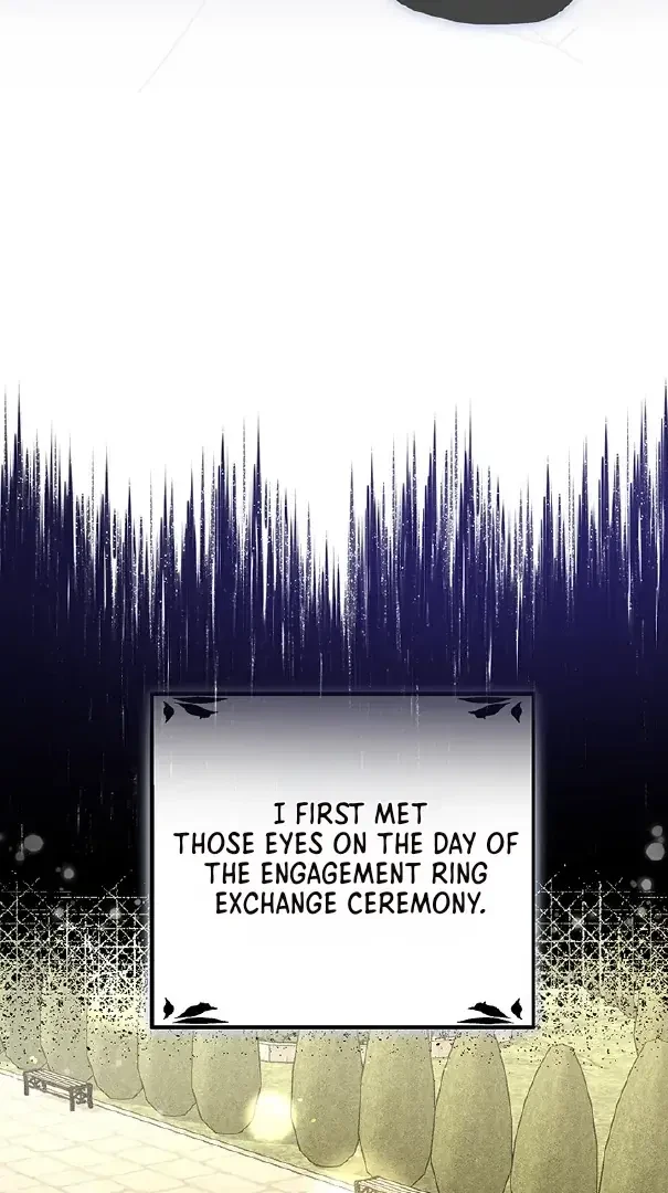 Chapter 1, page 25