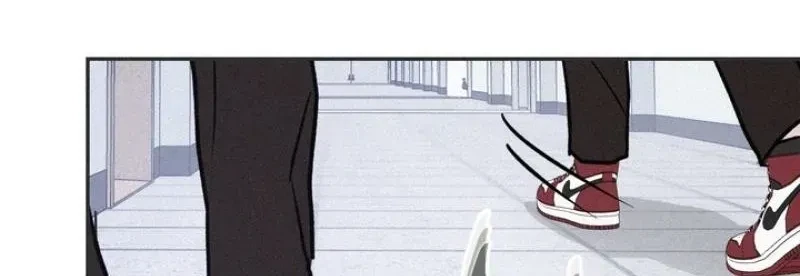 Chapter 4, page 97