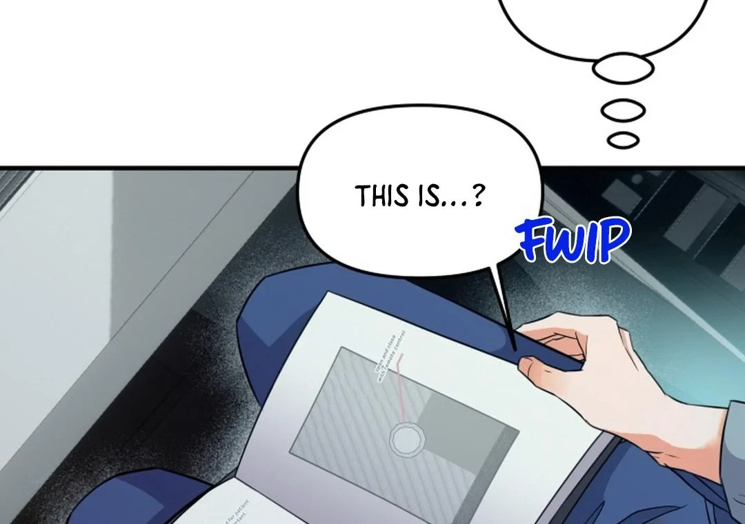 Chapter 3, page 101