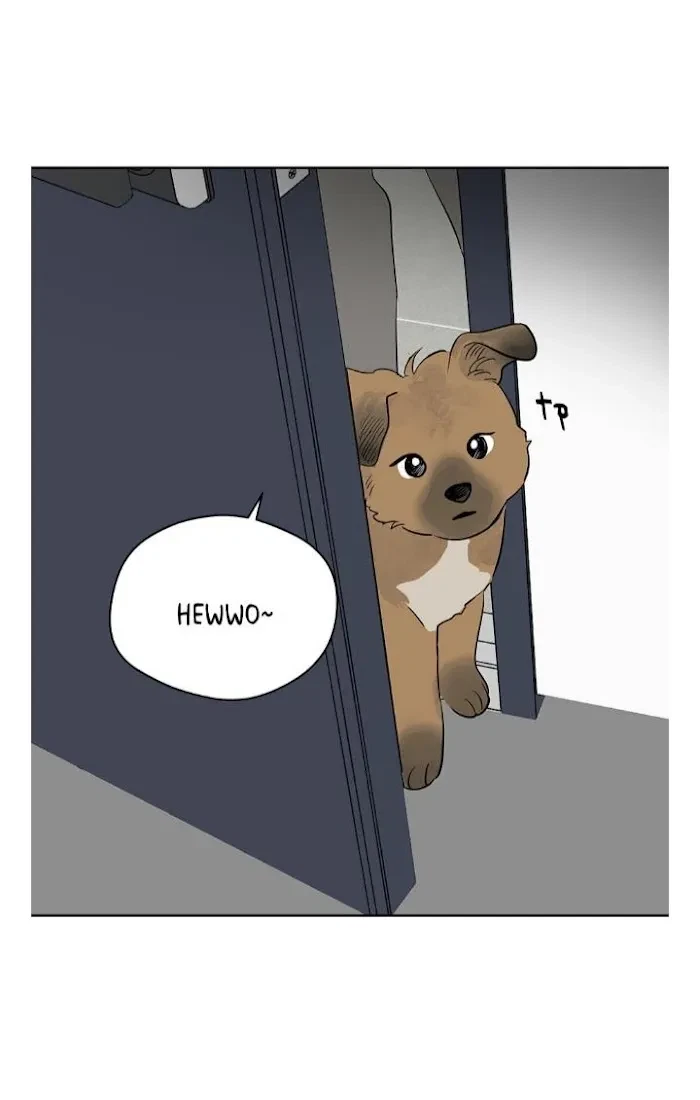 Chapter 41, page 19
