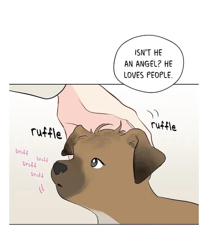 Chapter 41, page 22