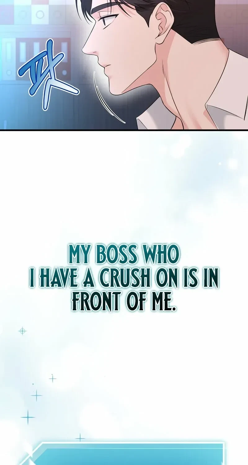 Chapter 1, page 13