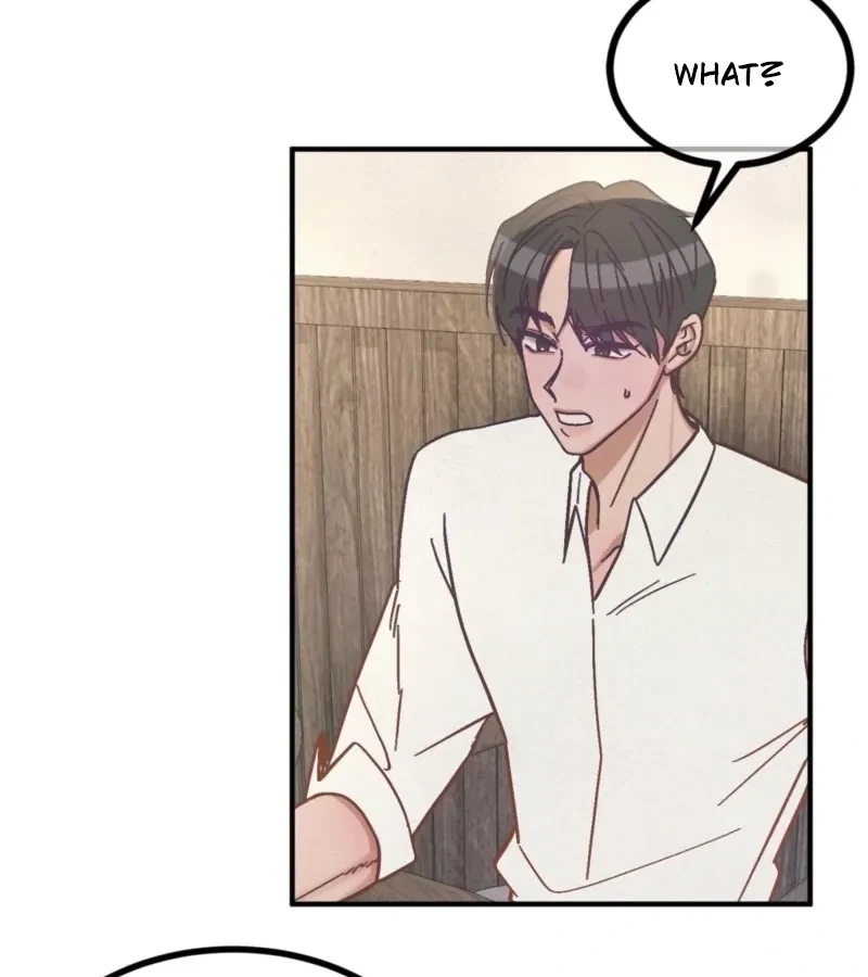 Chapter 3, page 102