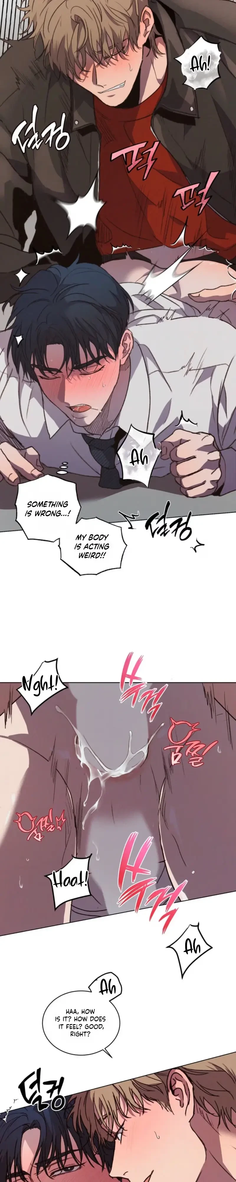 Chapter 2, page 19