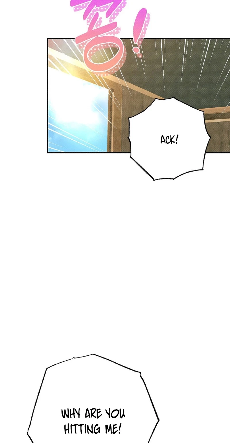 Chapter 1, page 61