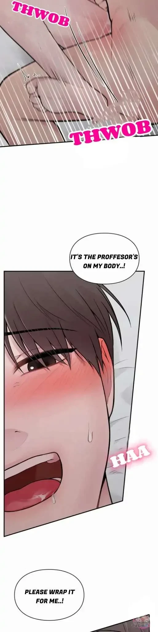 Chapter 3, page 26