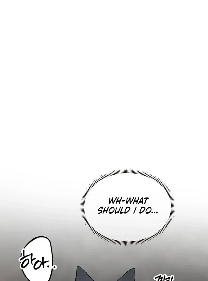 Chapter 3, page 43