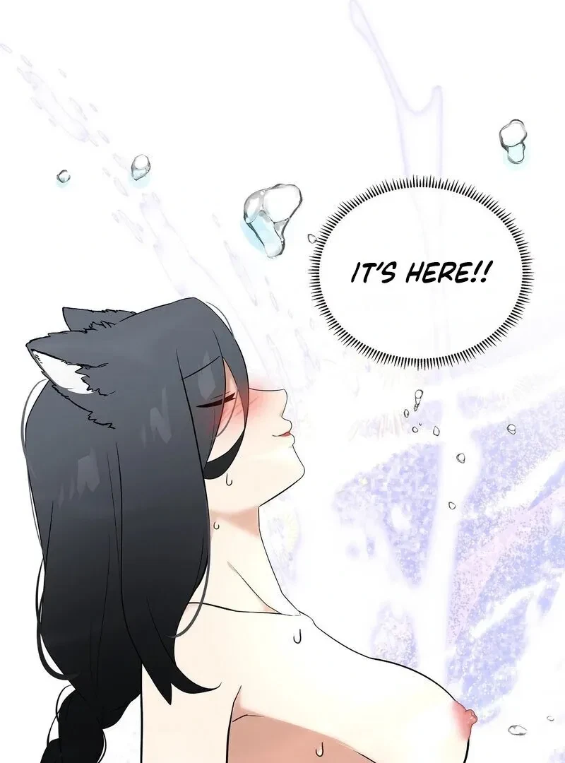 Chapter 3, page 62