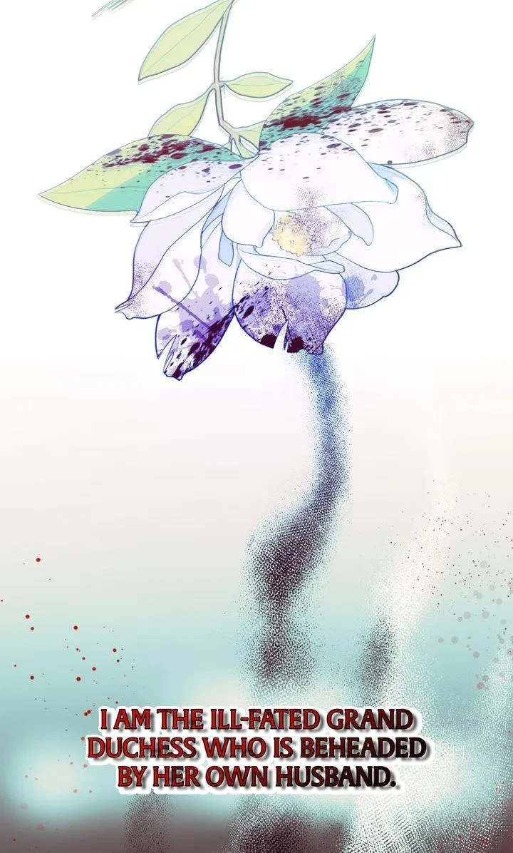 Chapter 2, page 72