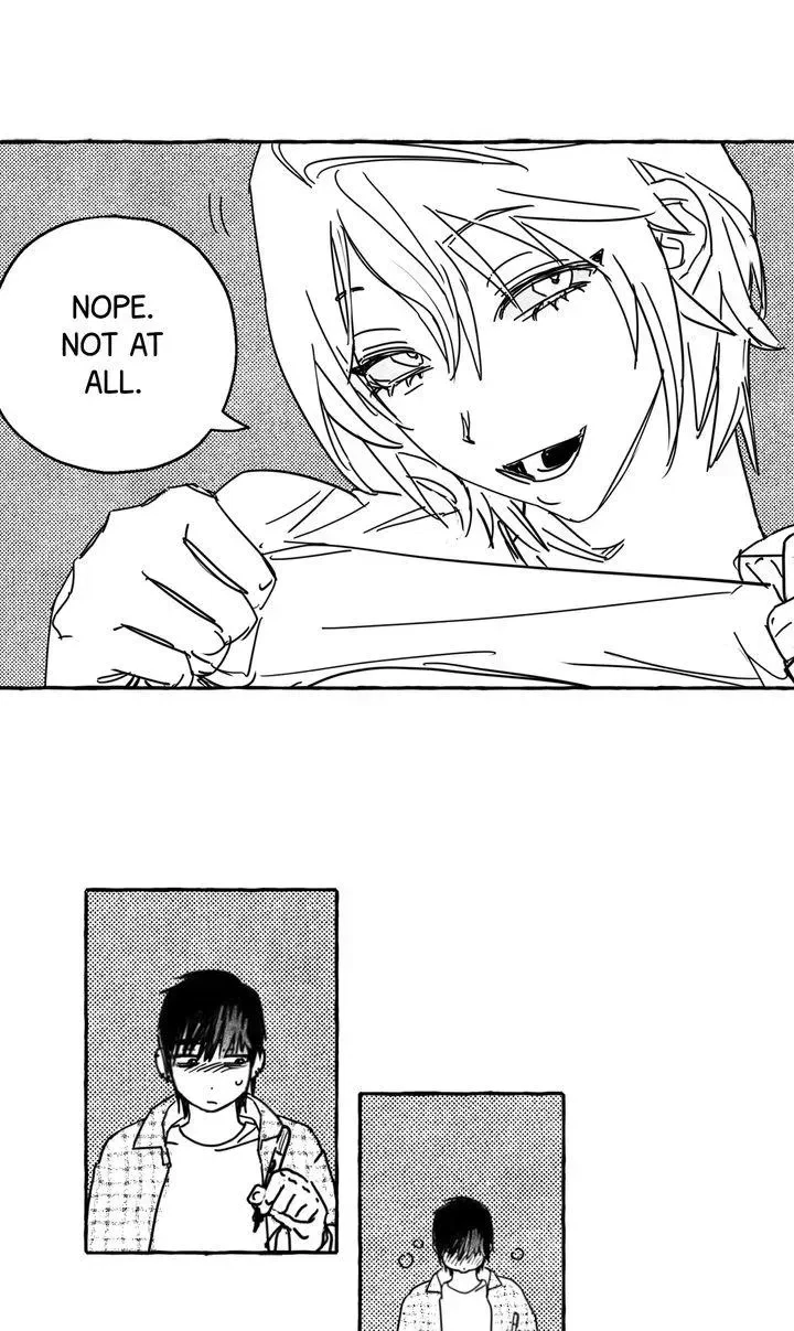 Chapter 2.1, page 11