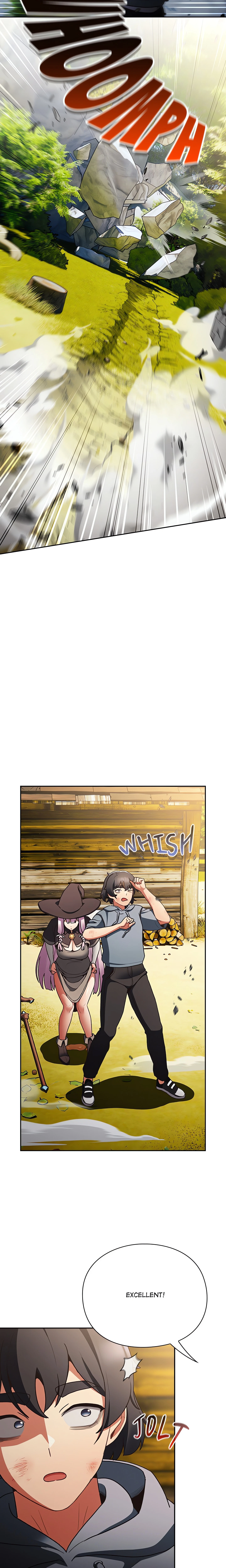 Chapter 1, page 20