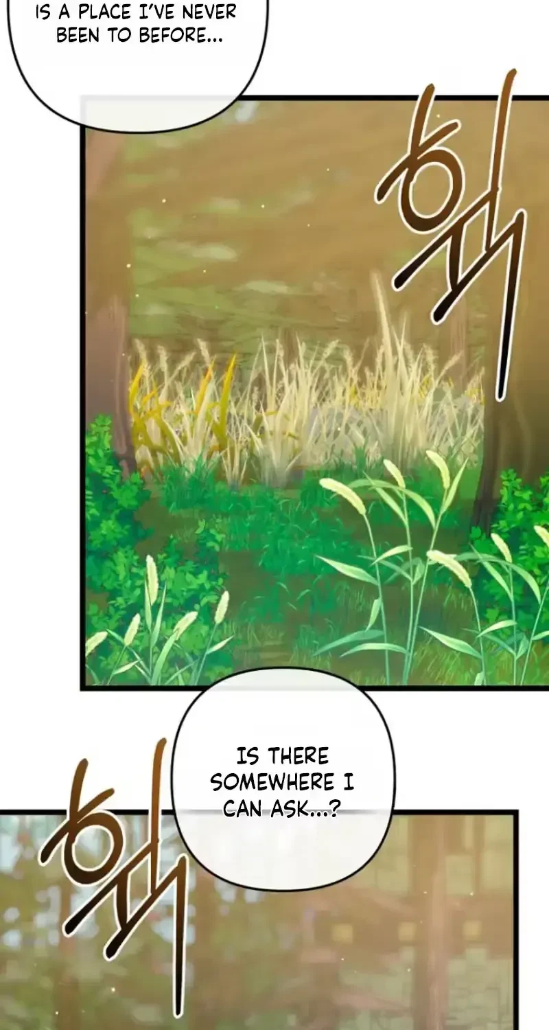 Chapter 1.1, page 26