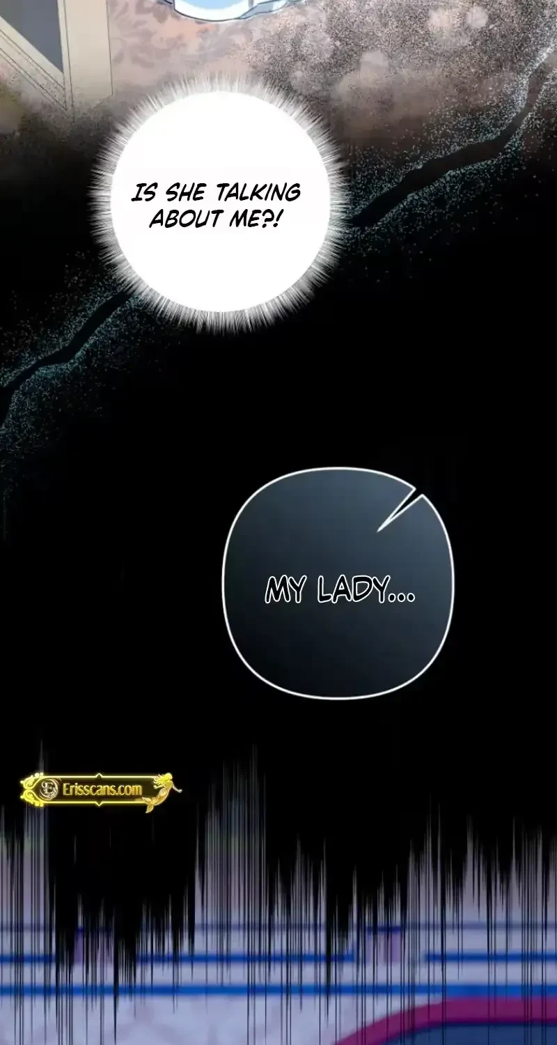 Chapter 1.1, page 5