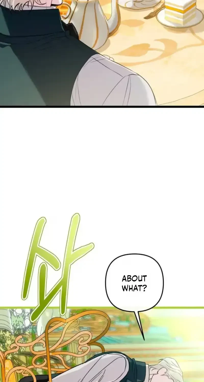 Chapter 1.1, page 74