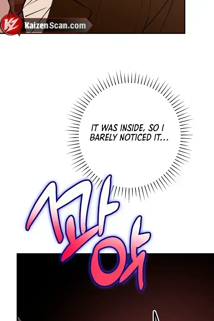 Chapter 2.8, page 47