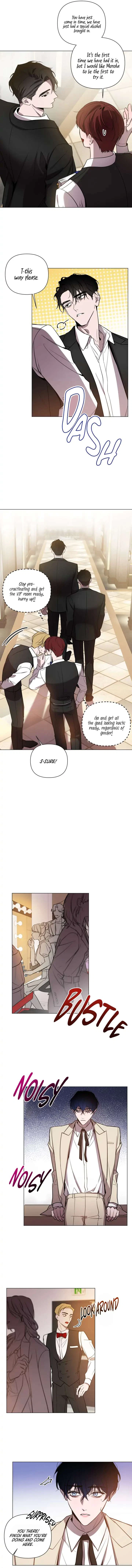 Dawn After Darkness Chapter 1, page 8