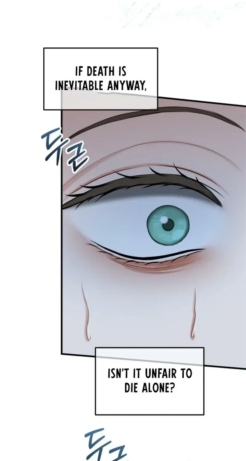 Chapter 5, page 41