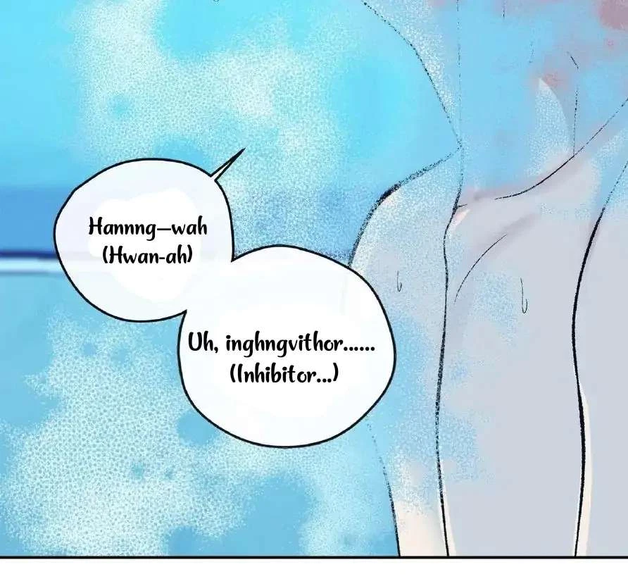 Chapter 4, page 17