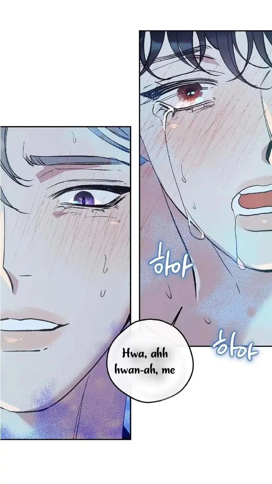 Chapter 4, page 29