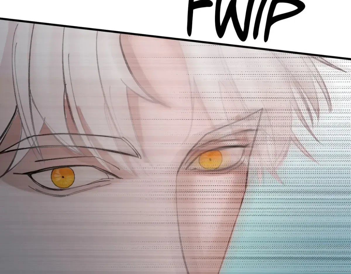 Chapter 17, page 102