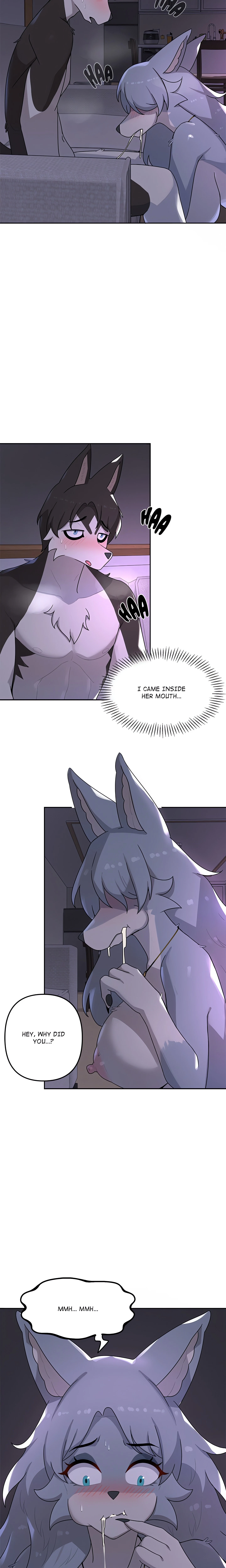 Chapter 3, page 19