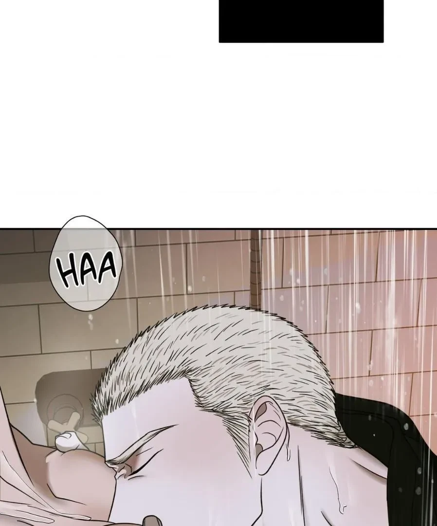 Chapter 49.1, page 20