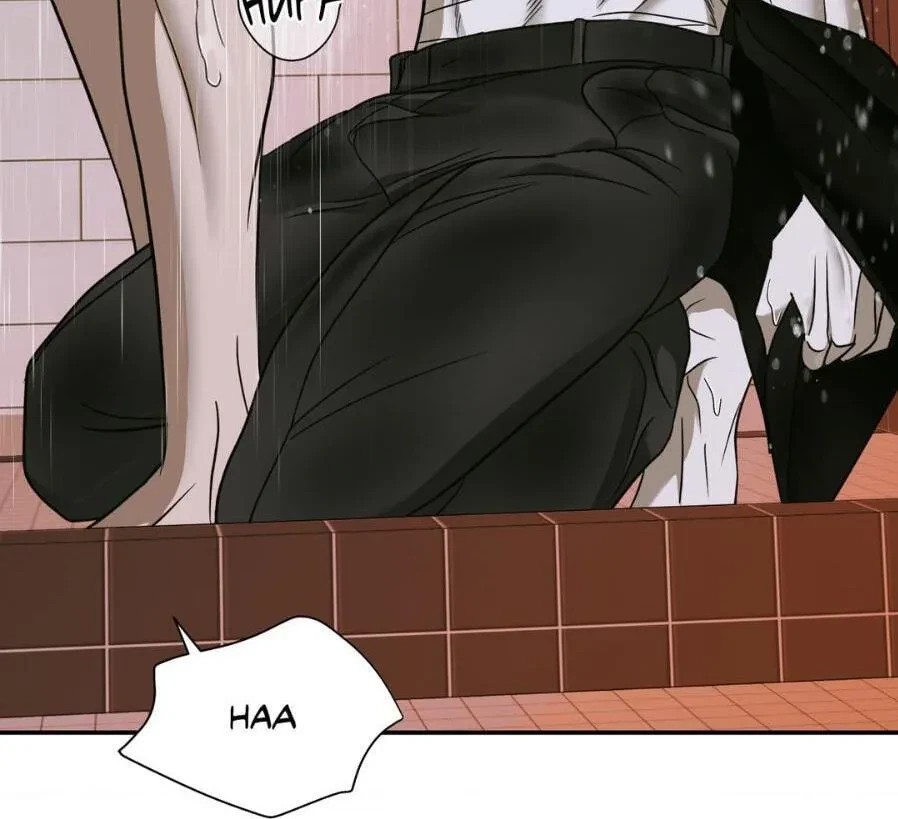 Chapter 49.1, page 29