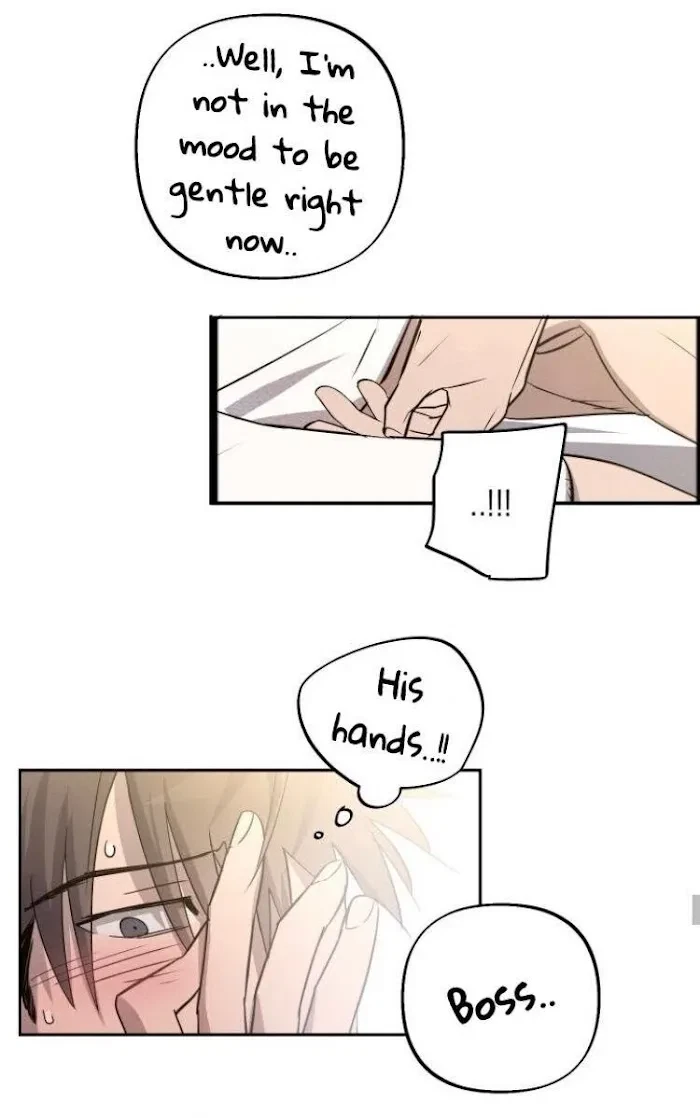 Chapter 4, page 17