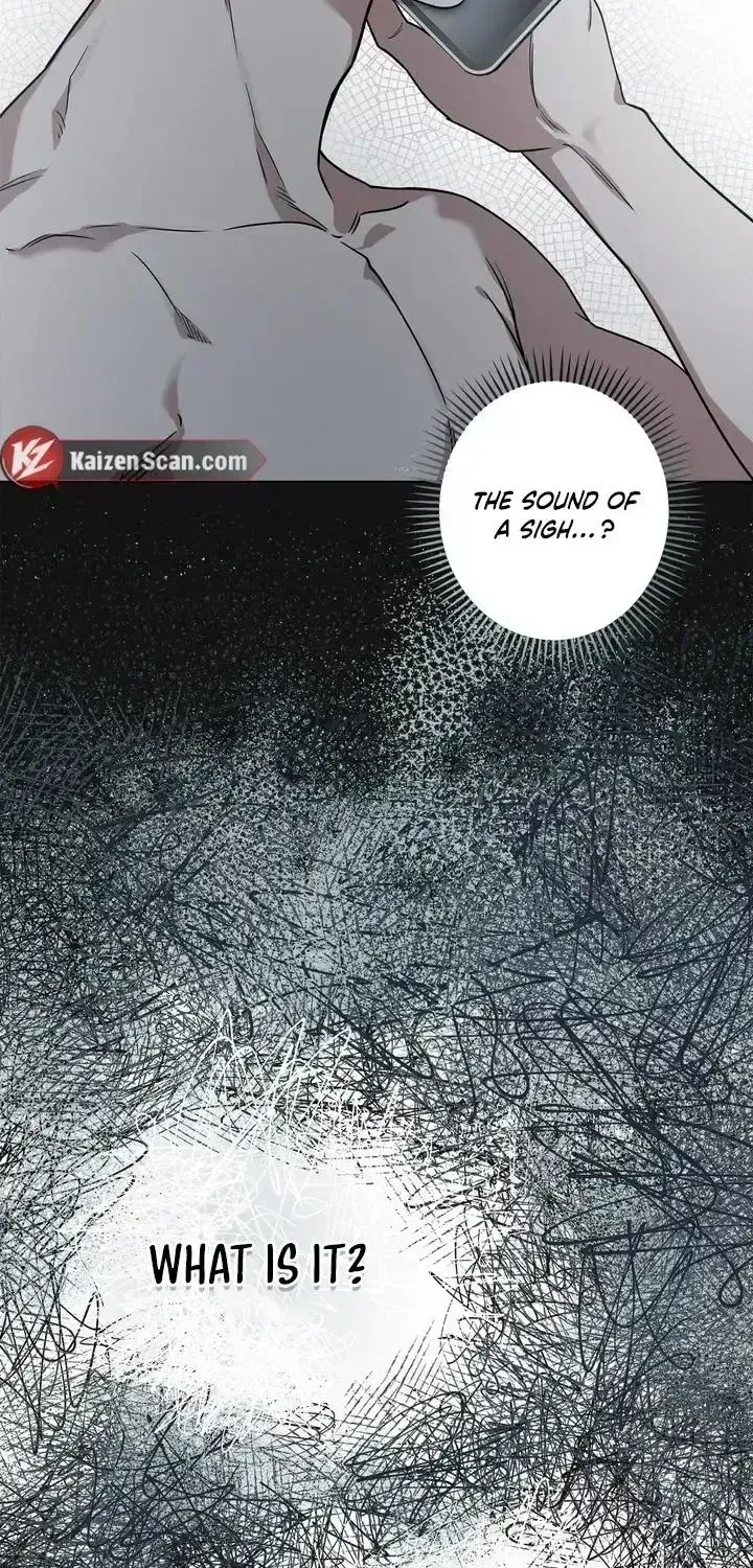 Chapter 2.5, page 24