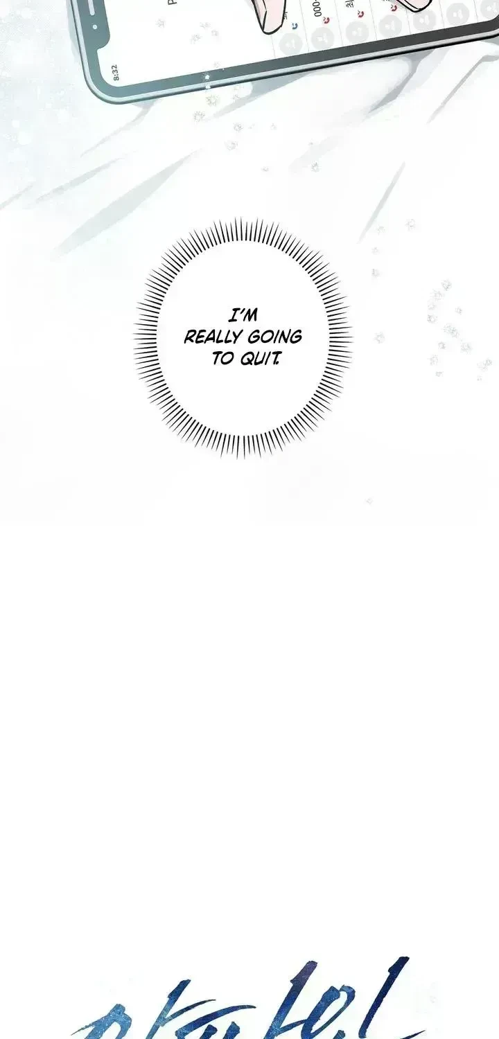 Chapter 2.5, page 36