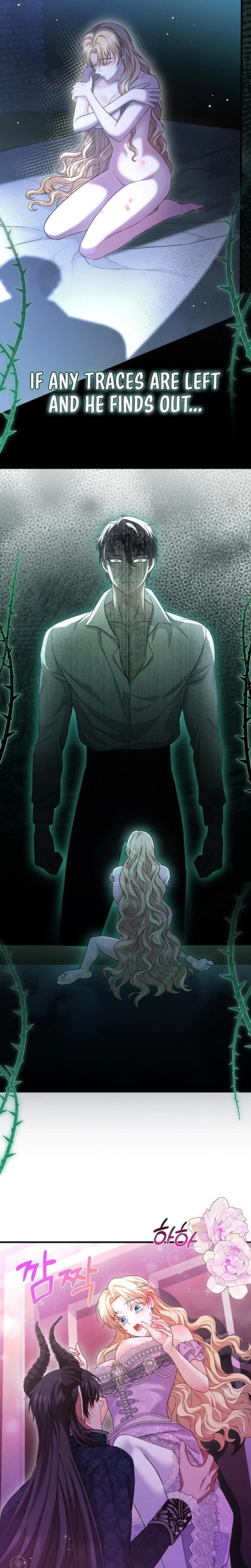 The Covert Of The Countess Chapter 5, page 25