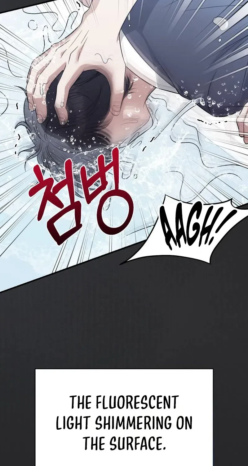 Chapter 2, page 24