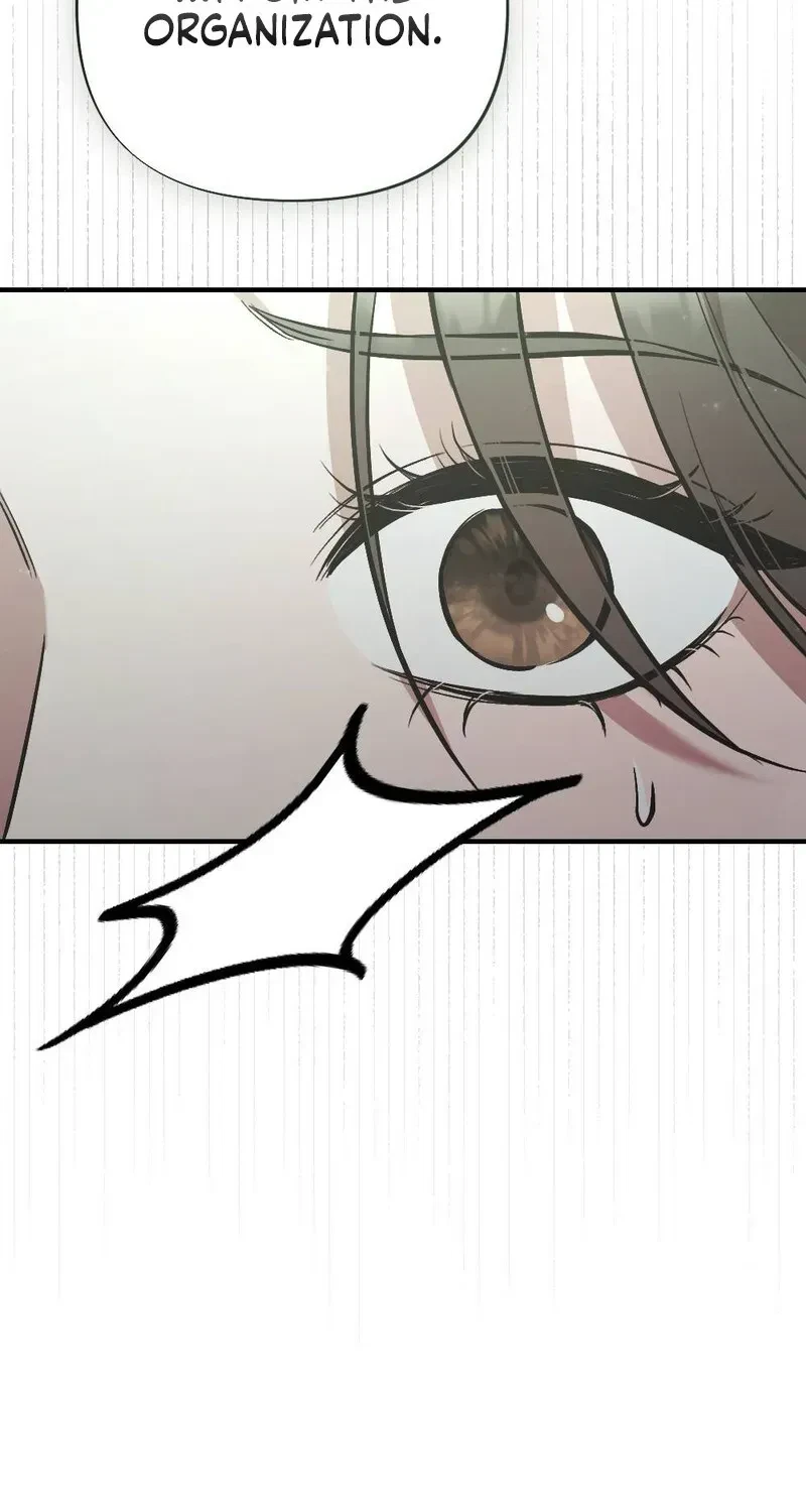 Chapter 2, page 95
