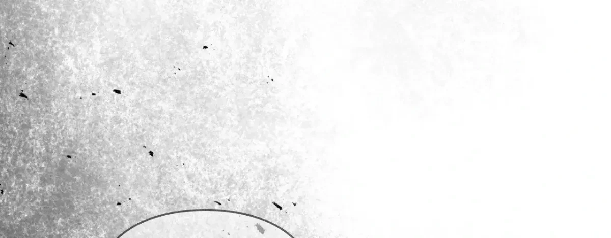 Chapter 27, page 242
