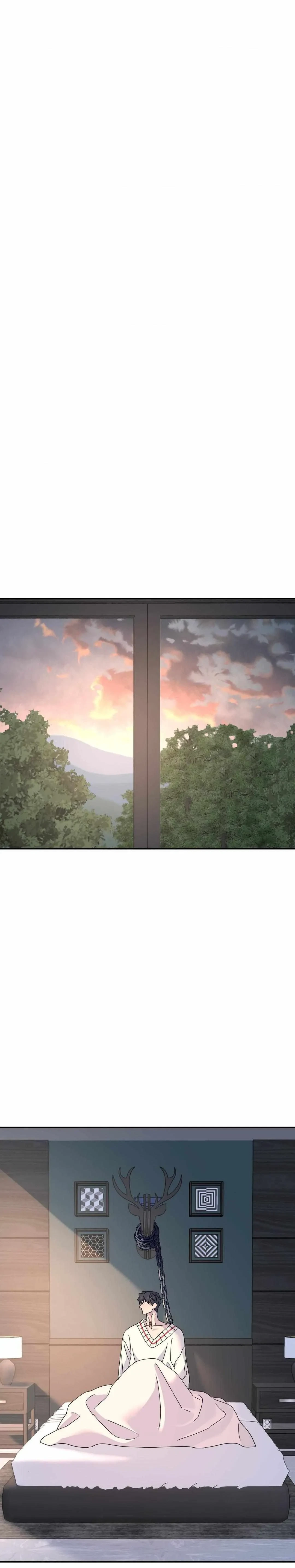 Chapter 74, page 19