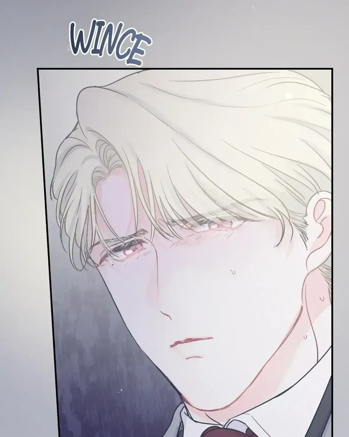 Chapter 2.3, page 81