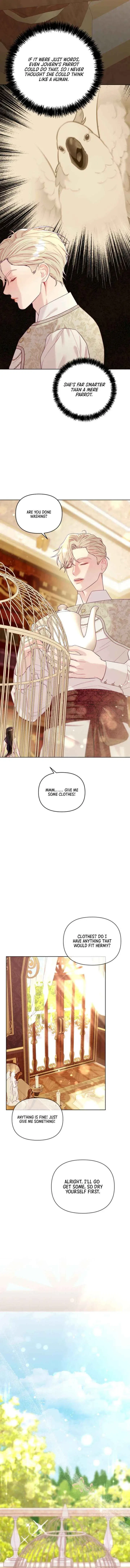 Chapter 5, page 18