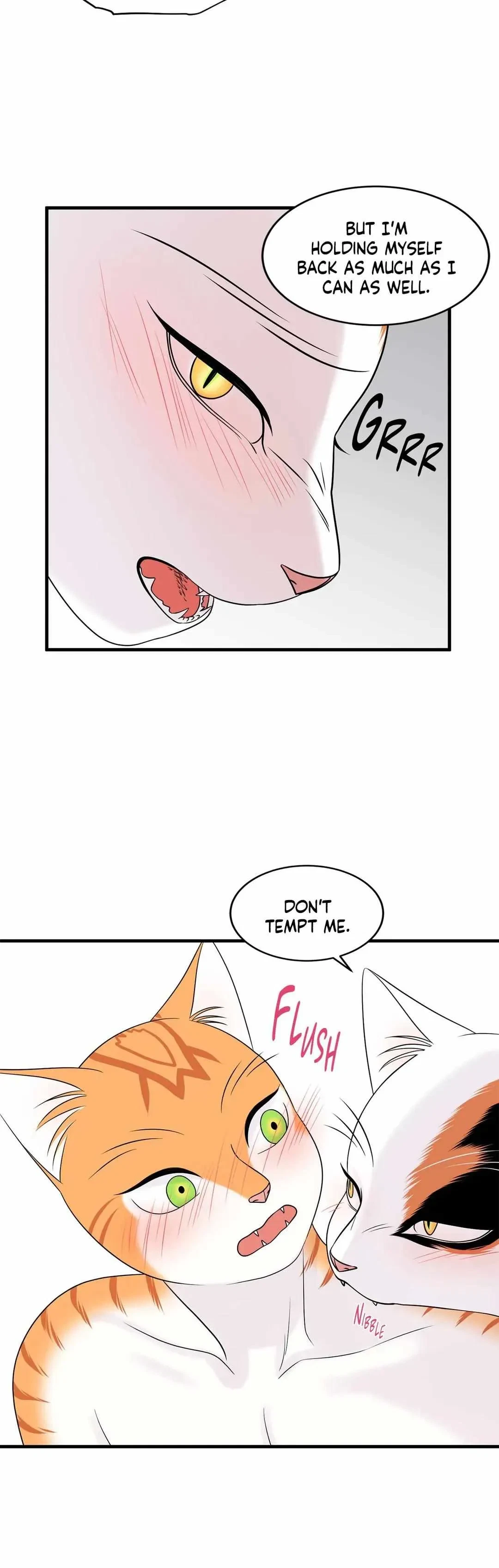 Chapter 35, page 37
