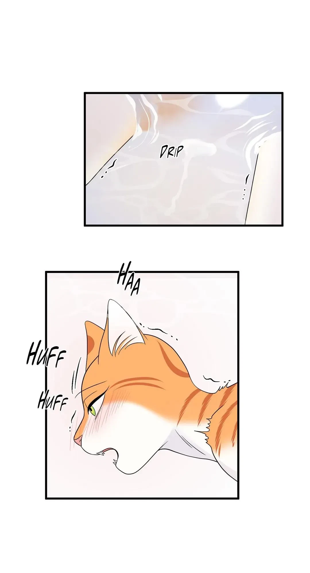 Chapter 35, page 43