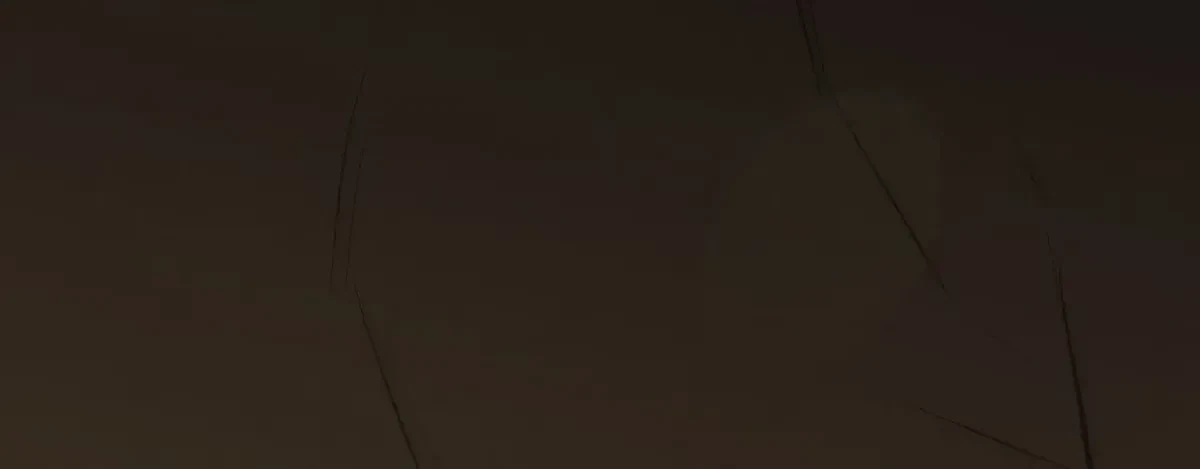 Chapter 38, page 263